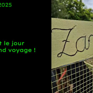 Le grand voyage !
