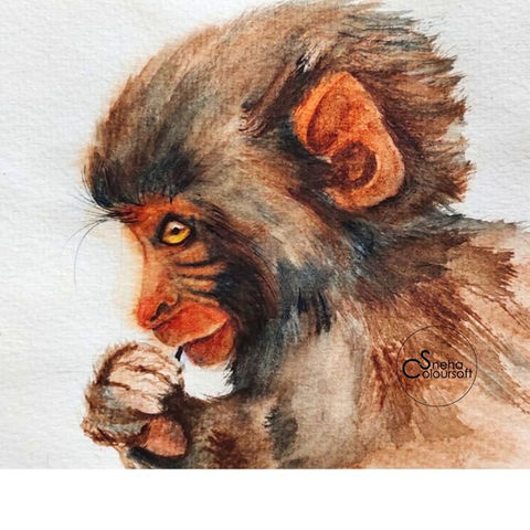 Macaque portrait in watercolours