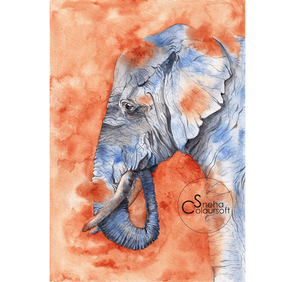 Sand Dance by Elephant Watercolor Art Print