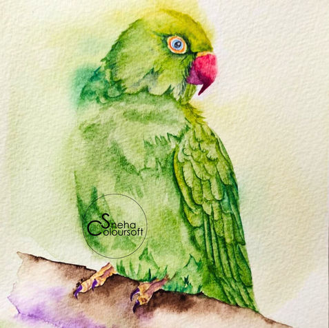 Watercolor parrot November Patreon  by Sneha Bhosale for SnehaColoursoft