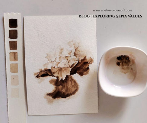 Progress photos Sepia values_by SnehaColoursoft