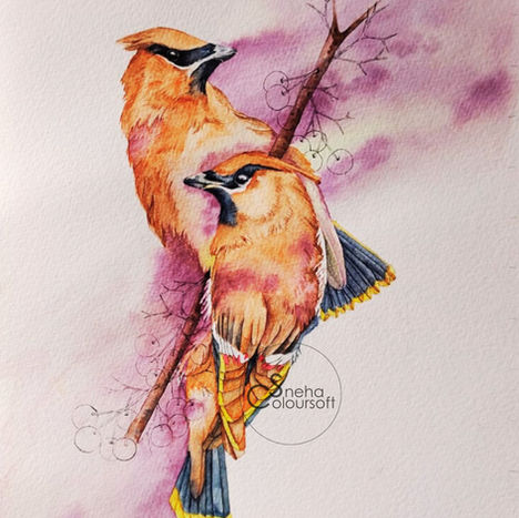 A pair of Wax Wings in watercolors by SnehaColoursoft. Sneha Bhosale for SnehaColoursoft is an watercolor artist who paints pet portraits, does custom watercolour work and creates surface patterns. She is based in India. Contact her for any commissioned work, licensing her art or collaboration