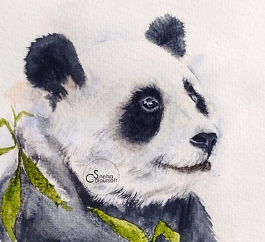Paint a Panda in watercolours.jpg