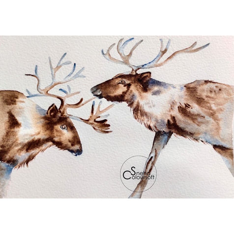 Paint a Soft coat of Reindeer in watercolour - July Tutorial for Patreon_