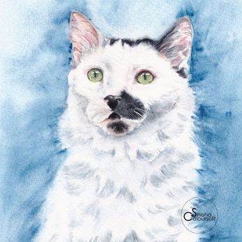 Colleen, a commissioned  watercolor portrait painted by Sneha Bhosale for SnehaColoursoft. Sneha Bhosale is watercolor pet portrait artist based in Pune, India providing affordable pet portraits within short period of time. Progress photo will be shared ensuring customer satisfaction