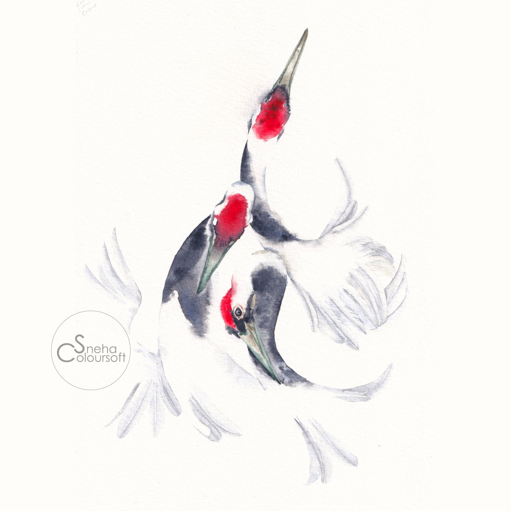 Ballet of Crimson Crowns | Red Crowned Cranes Watercolour Original Art