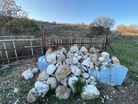 Naftali & Asher kever