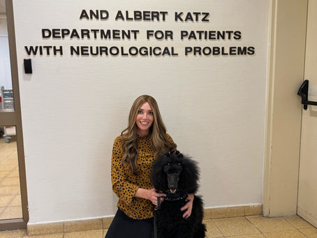 Rayna the Therapy Poodle at Tel HaShomer Hospital