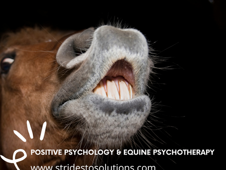 The Power of Positive Psychology in Equine Psychotherapy: Nurturing Growth and Well-being