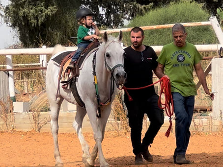 Aselia: A Champion Therapy Horse Providing Stability and Adaptability at Strides To Solutions