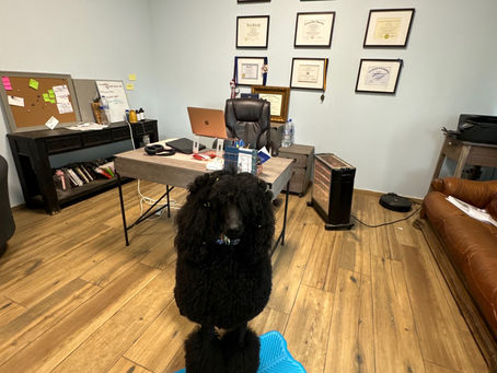 Canine Assisted Therapy: A Leap Forward in Rehabilitation for Children with Developmental Disabilities
