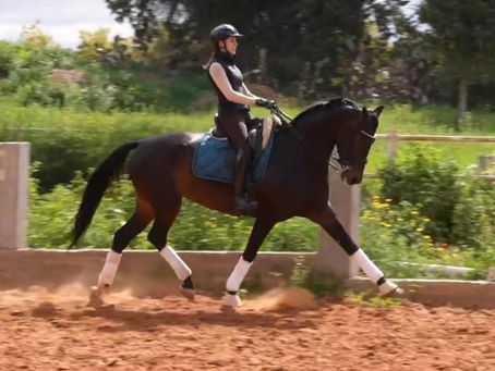Bridging Equestrian Skills and Psychotherapy: The Role of Rider Position in Mental