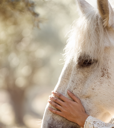 u8777985339_Macro-style_shot_of_a_womans_cuffed_long-sleeve_w_464543a4-af70-4cd5-a694-b284
