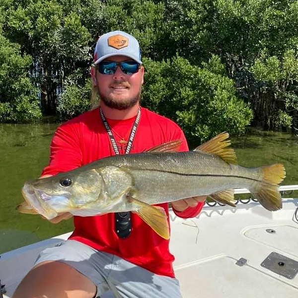 Man in red shirt holding large snook, Crystalriverfishing