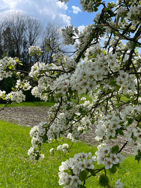Tier und Natur