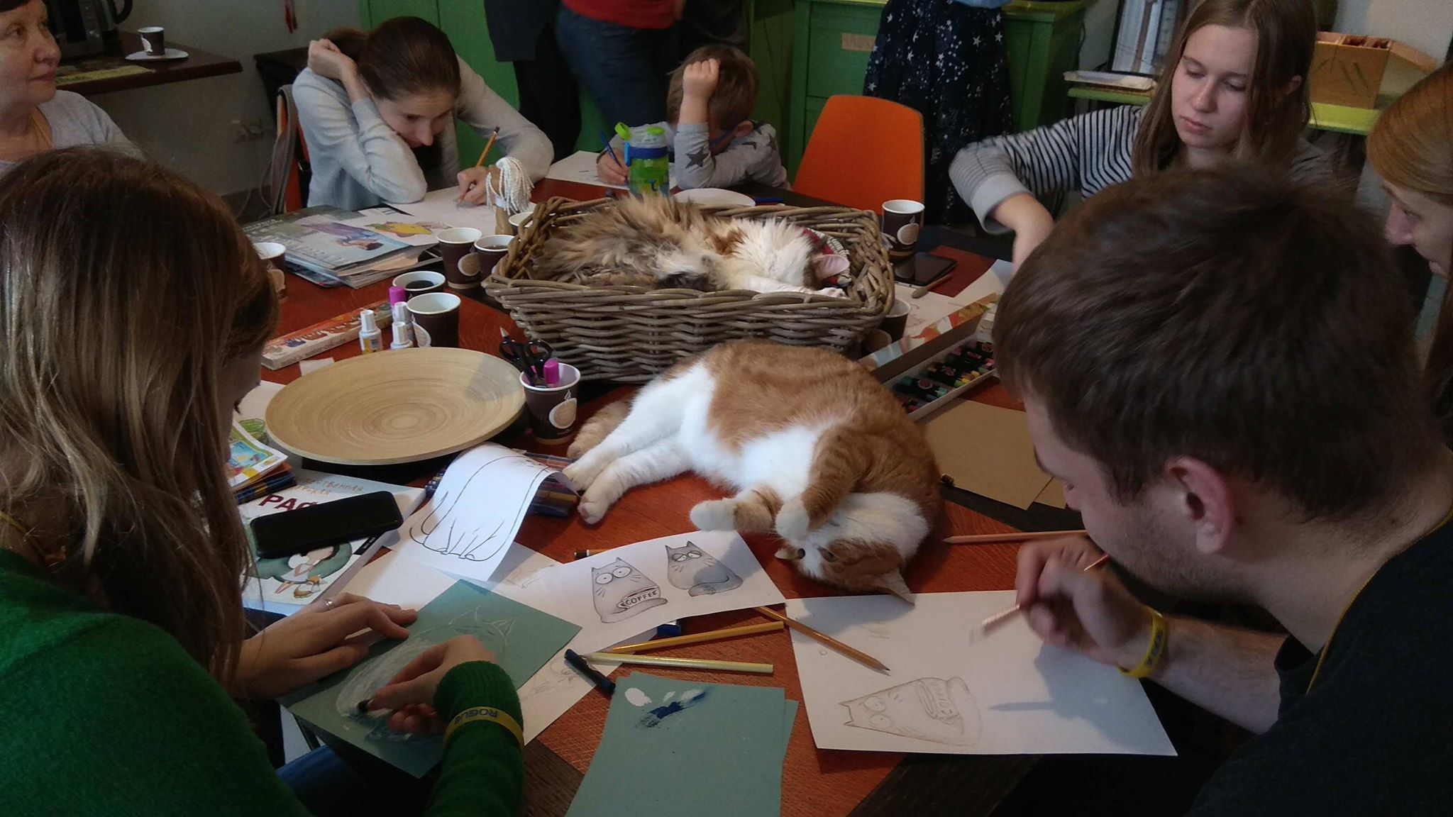 Котиссимо. Котокафе котиссимо москва. «котиссимо» (цао). Котокафе на блюхера новосибирск. Котокафе котиссимо москва.