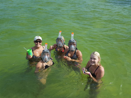 Five people snorkeling and smiling in green water.