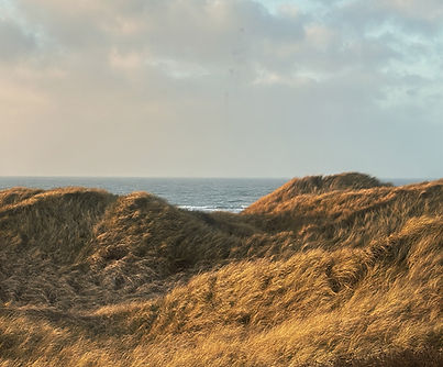 E9E0170E-F283-4424-A599-F2564303E960_edi