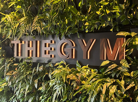 thegym_edited.jpg