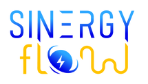 Sinergy Flow - Start Cup Lombardia PNI 2021 (1).png
