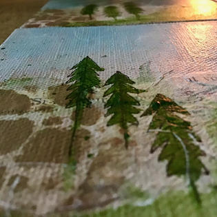 Small Canvas - Evergreen