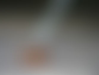 Top 5 Signs Your Restaurant Needs Pest Control Immediately