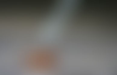 Top 5 Signs Your Restaurant Needs Pest Control Immediately