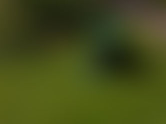 Residential vs. Commercial Lawn Care Services in Edmonton