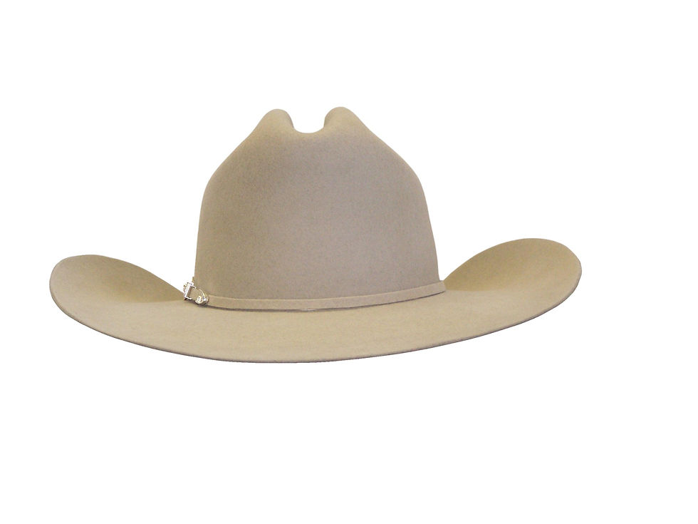 Thumbnail: Stetson Corral