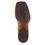 Thumbnail: Ariat Plano