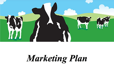 marketing plan