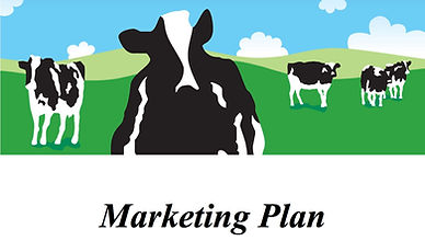 marketing plan