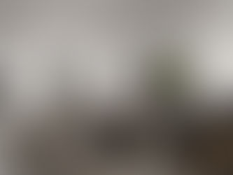 Interior Designer Tampa: Transforming Homes