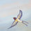 Thumbnail: Unbound | 40x30 cm