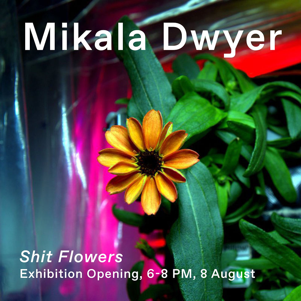 Exhibition Opening | Mikala Dwyer 'Shit Flowers'