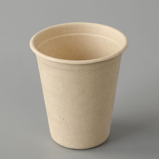 Sugarcane Bagasse Cup