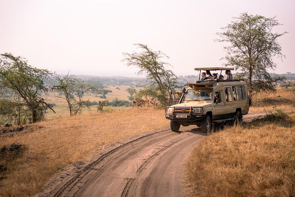 4-Day Kidepo Valley Wilderness Safari vehicle in the park.