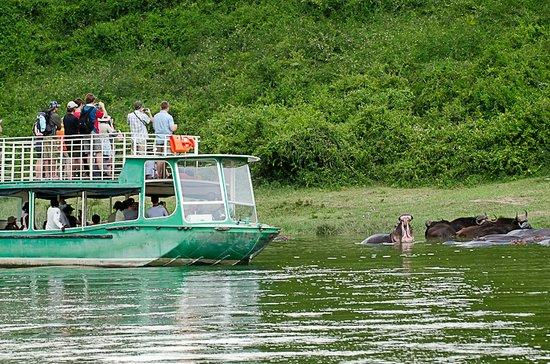 Wildlife Safari boat cruise viewing hippos in Uganda