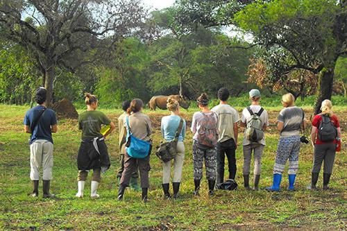 Tourists observing a rhino on a Uganda wildlife safari.