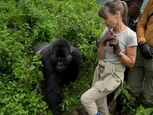 3-Day Uganda Gorilla Trekking Safari: Complete Itinerary & Cost Guide (2026)