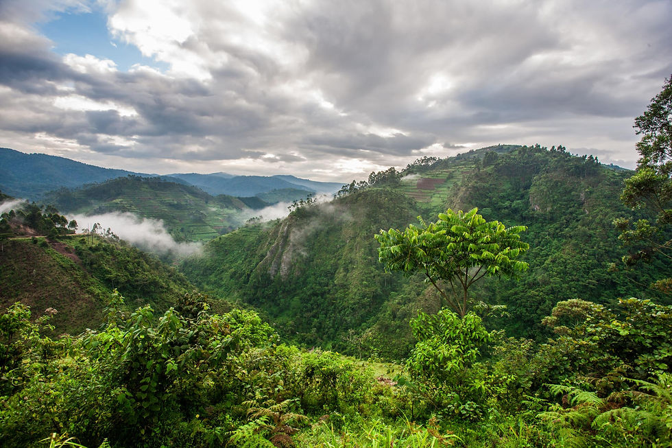 Lush green hills and crater lakes during a Uganda tour.