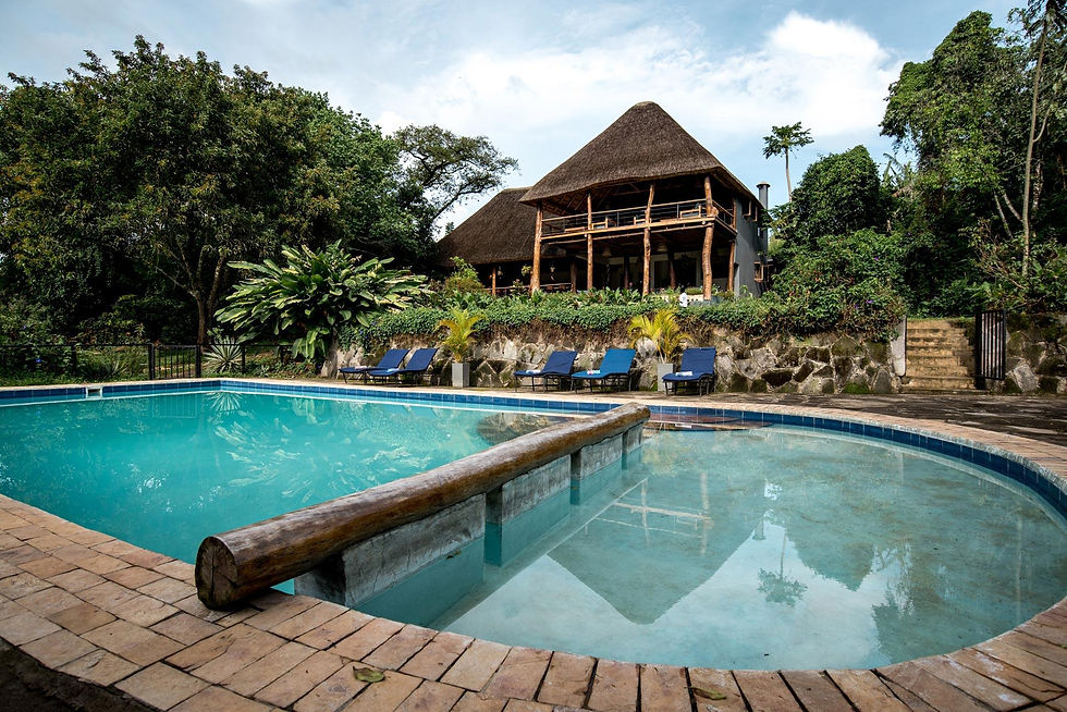 Safari lodge with a pool during a 10-Day Uganda Safari.