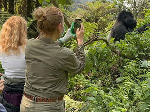 Uganda Gorilla Trekking vs Rwanda Gorilla Trekking: Which Is Better? (2026 Guide)