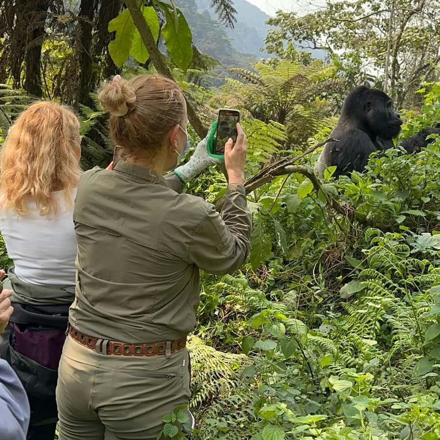 Tourist takes a photo during a Mgahinga Gorilla Safari.