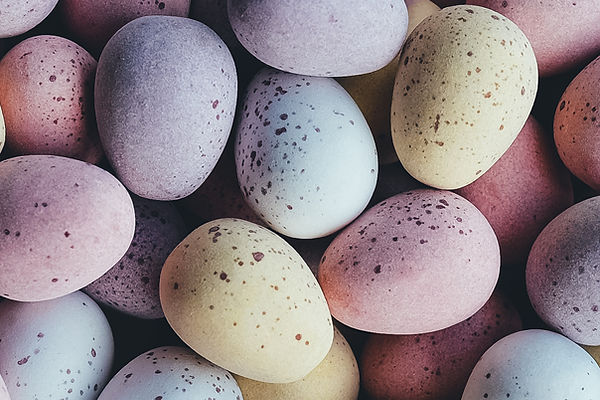Colorful Eggs