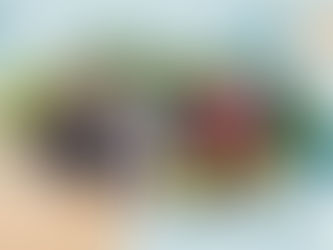 Programa de fellowship para líderes emergentes WISE 2023 (totalmente financiado)