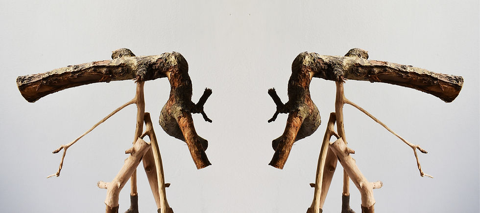 copertina sito 4_edited.jpg