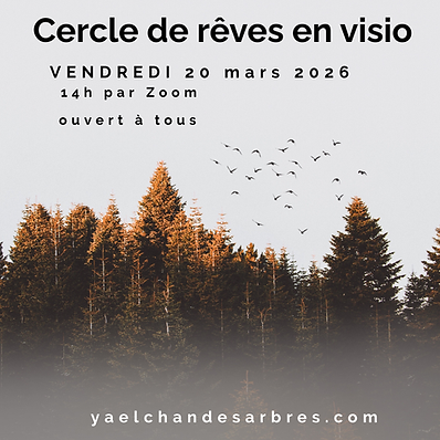 Cercle rêves Zoom