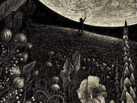 Écologie au féminin