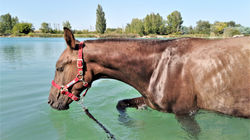 119701363_328872304861853_2266039389685635691_n (2)